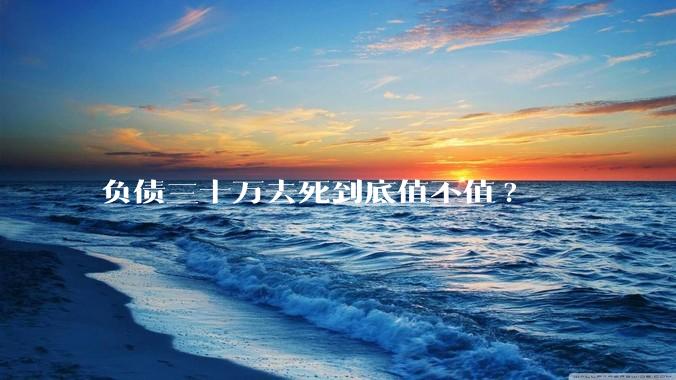 负债三十万去死到底值不值?